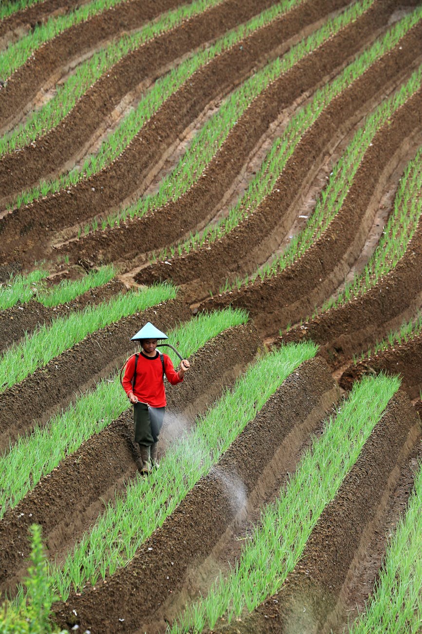 Agriculture at the Edge of&nbsp;Order