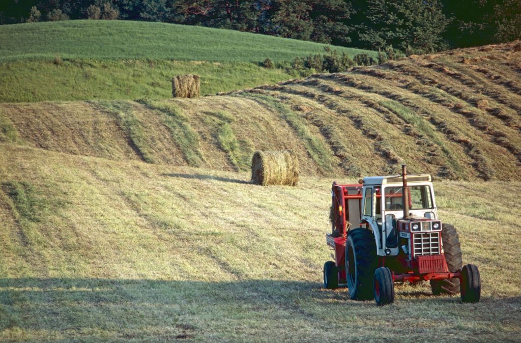 Agriculture as an Energy&nbsp;System